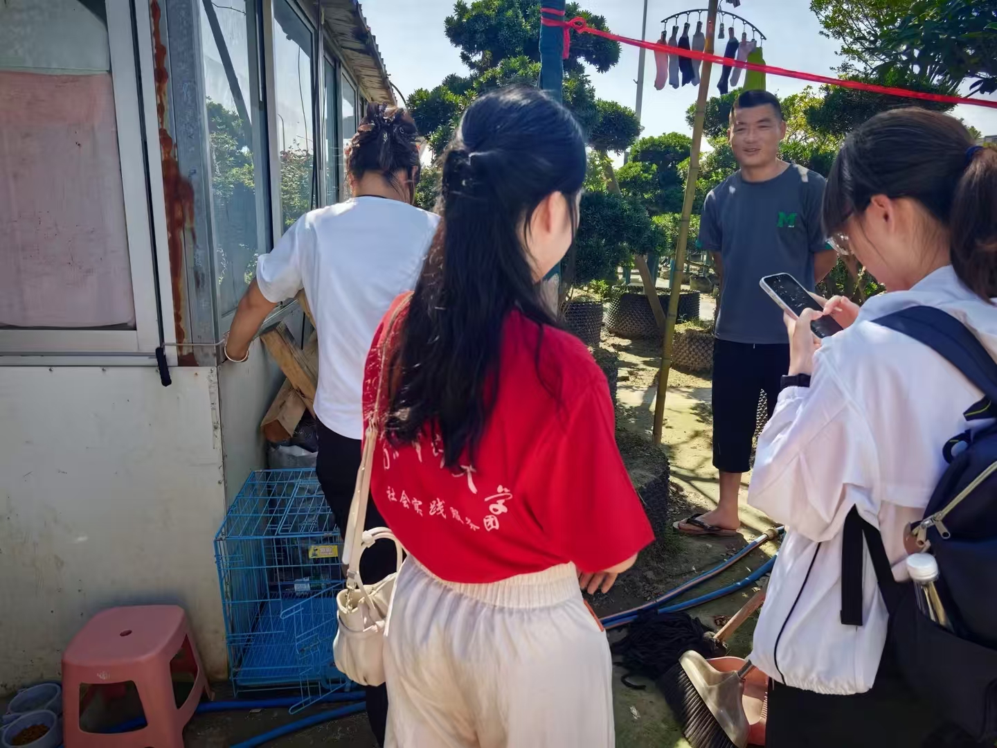 白菜论坛